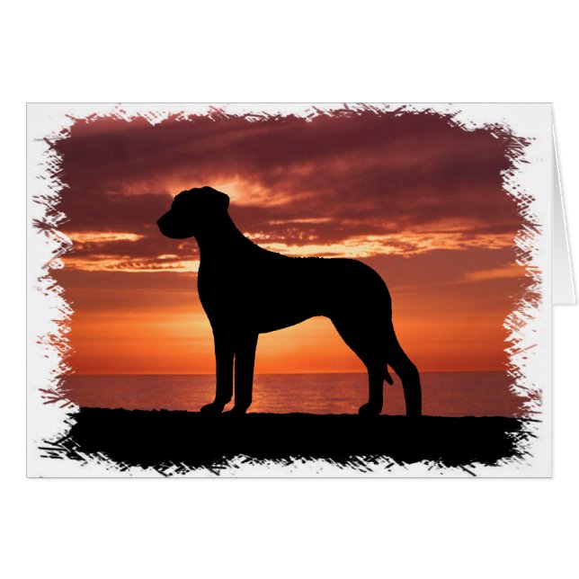 Rhodesian Ridgeback (Anverso (Horizontal))