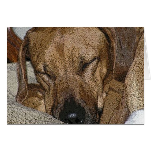 Rhodesian Ridgeback (Anverso (Horizontal))