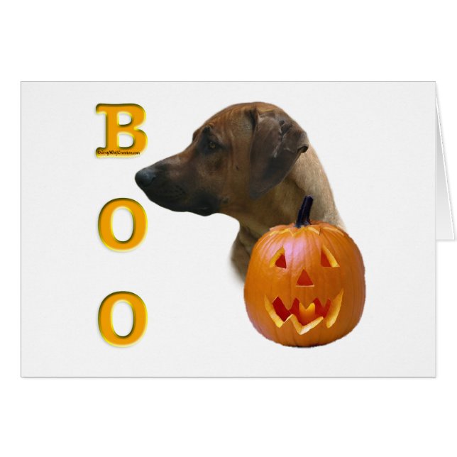 Rhodesian Ridgeback Boo (Anverso (Horizontal))