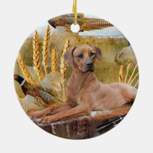 Rhodesian Ridgeback caza el ornamento