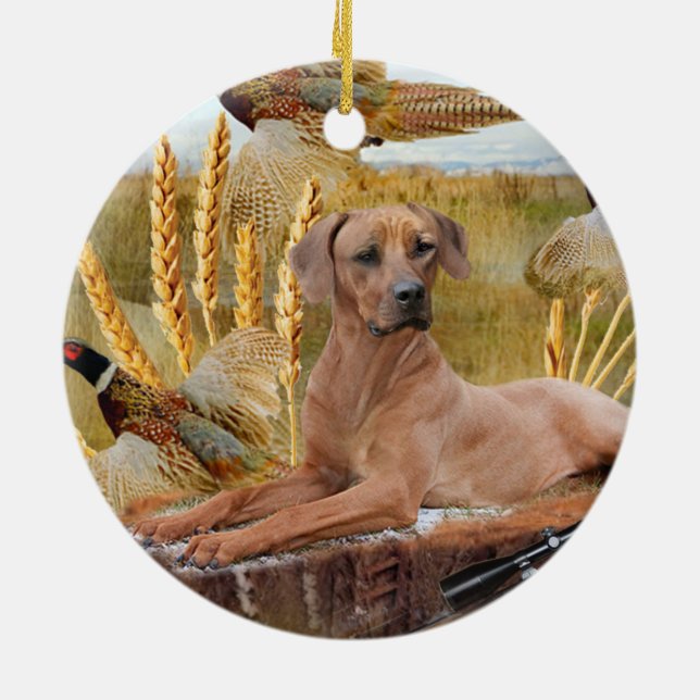 Rhodesian Ridgeback caza el ornamento (Atrás)