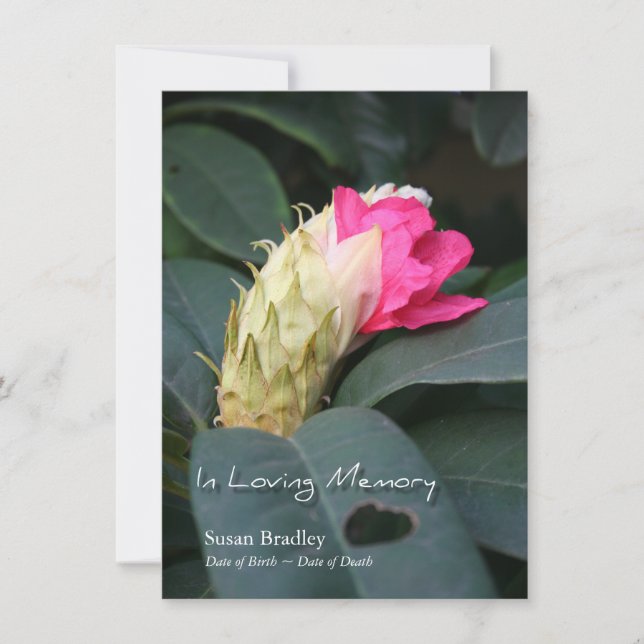 Rhododendron 2 Celebración de la invitación a la v (Anverso)