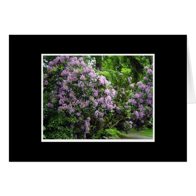 Rhododendron Grove (Anverso (Horizontal))