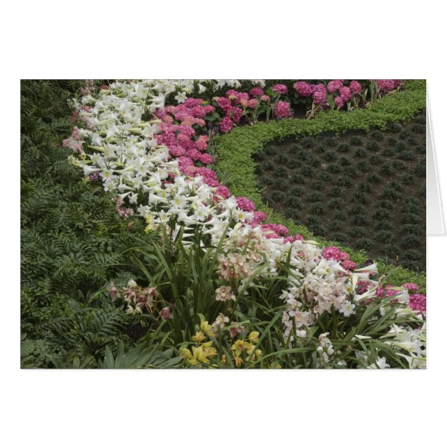 Rhododendron (Rhododendron catawbiense Heath) (Anverso (Horizontal))