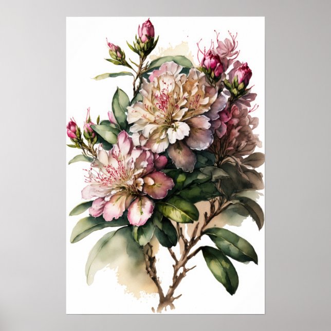 Rhododendron rosa Flores Poster de impresión de ar (Frente)