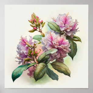 Rhododendron rosa Flores Poster de impresión de ar