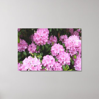 Rhododendros rosados Impresión de lienzo envuelto