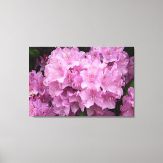 Rhododendros rosados Impresión de lienzo envuelto