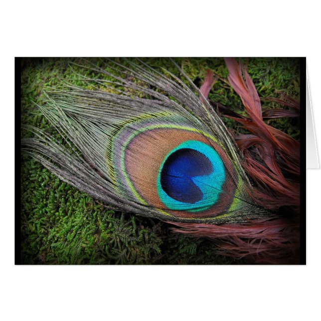 Rica y elegante fotografía de pluma de pavo real (Anverso (Horizontal))