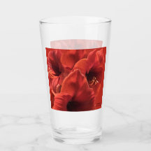Rich Earthy Ruby Red Amaryllis Photo