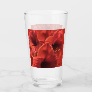 Rich Earthy Ruby Red Amaryllis Photo