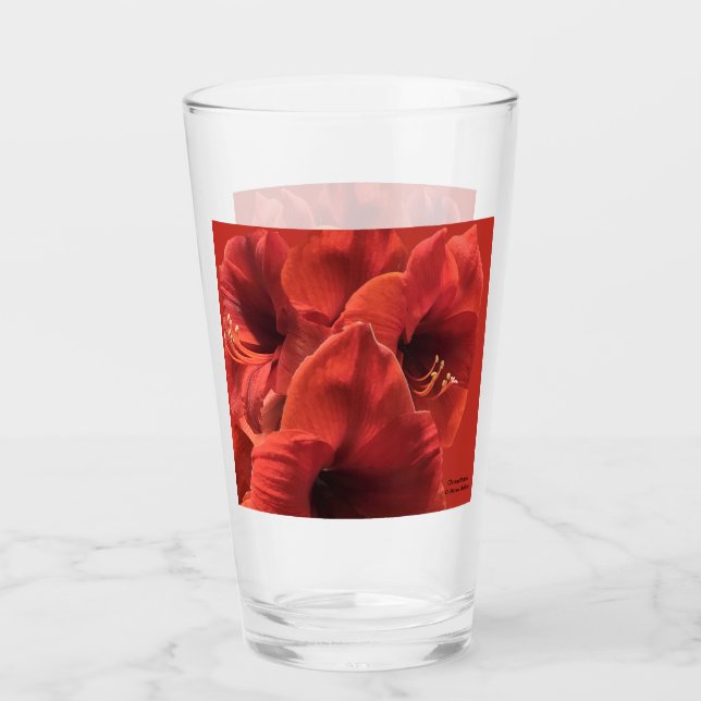 Rich Earthy Ruby Red Amaryllis Photo (Anverso)