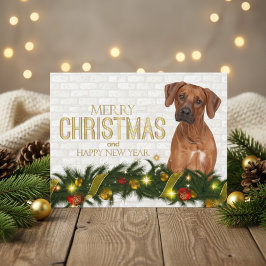 Ridgeback Rhodesia Feliz Navidad Feliz Año Nuevo
