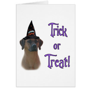 Ridgeback Trick