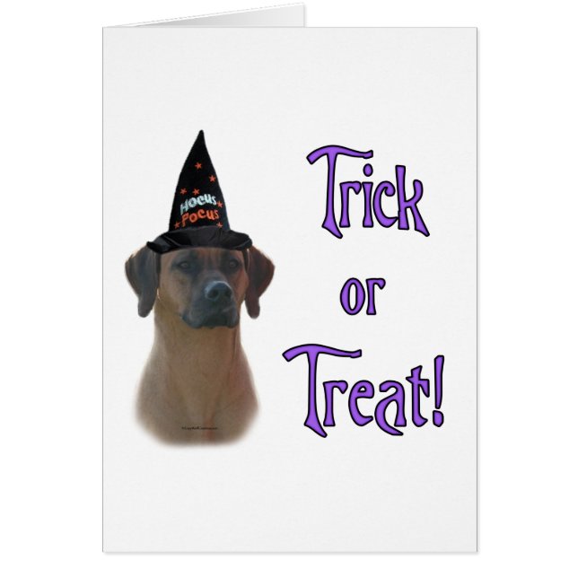 Ridgeback Trick (Frente)