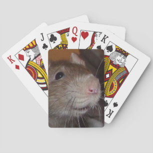 riéndose con cartas de juego de rata