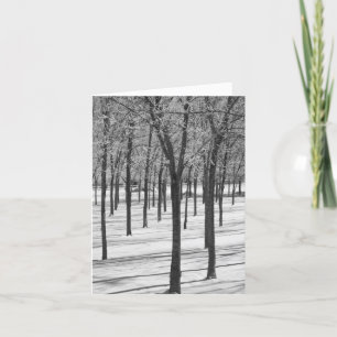 Rima en las Tarjetas de Invierno de los Árboles