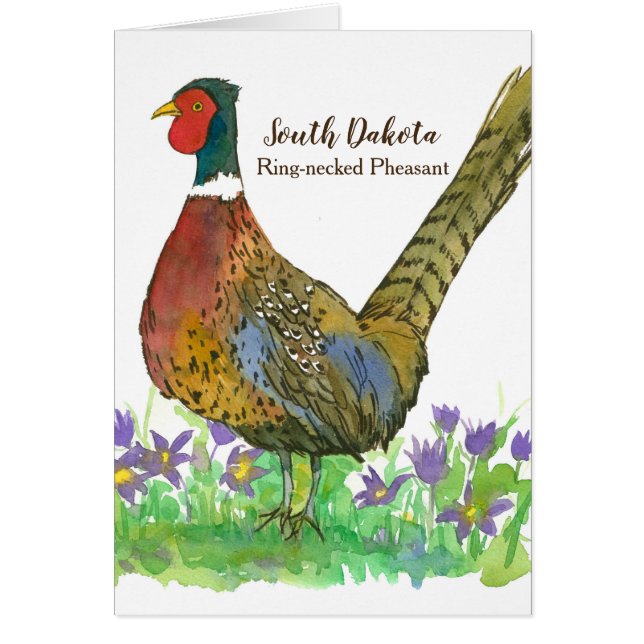 Ring de Dakota del Sur: Pheasant Blank (Frente)