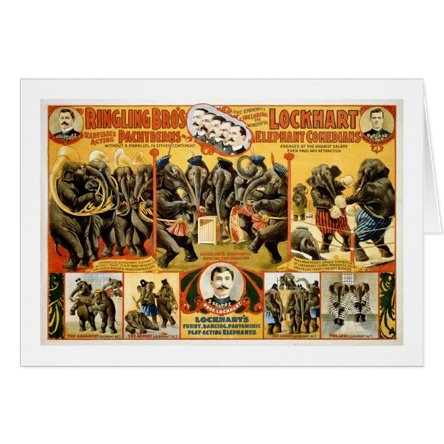 Ringling Bros Pachyderms1899 (Anverso (Horizontal))