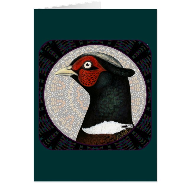 Ringneck Pheasant Circle (Frente)