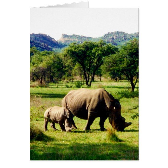 rinocerontes (Frente)