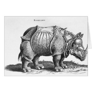 Rinocerontes, de 'Historia Animalium'