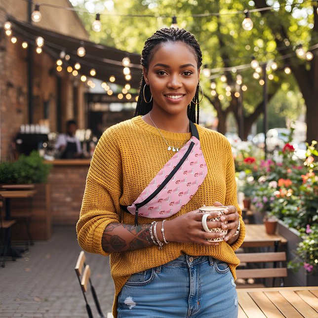 Riñoneras Ariel Fanny Pack (Subido por el creador)