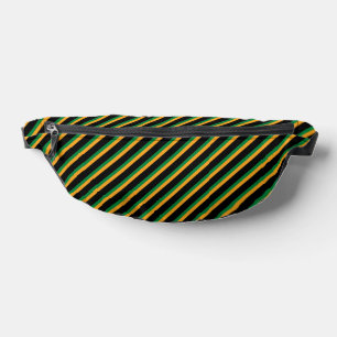 Riñoneras Bandas Multicolor Fanny Pack