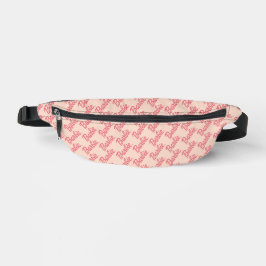 Riñoneras Barb Fanny Pack
