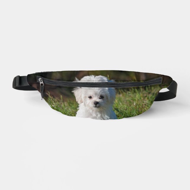 Riñoneras Cachorro blanco lindo (Anverso)