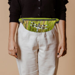 Riñoneras Calabacín blanco común