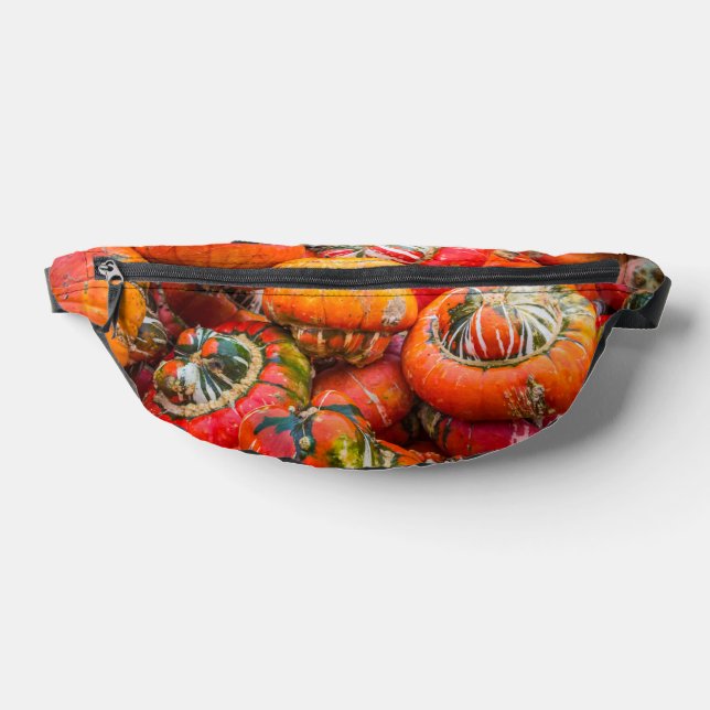 Riñoneras Calabazas coloridas (Distribución)