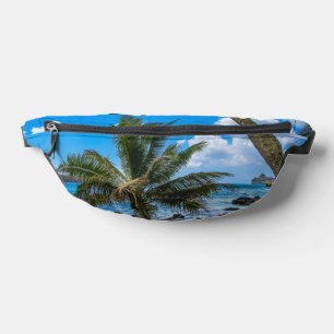 Riñoneras Colgando...