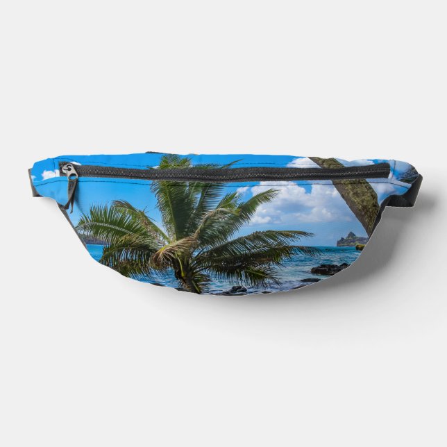 Riñoneras Colgando... (Distribución)