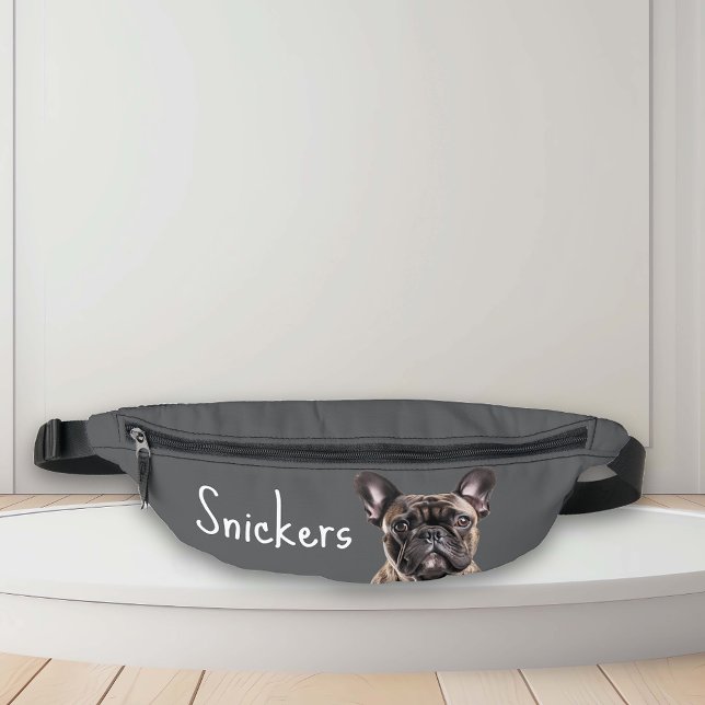 Riñoneras Dog Lover Treat Walking Mascota Bag Foto (Subido por el creador)