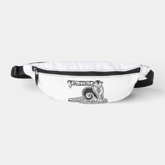 Riñoneras Fanny pack