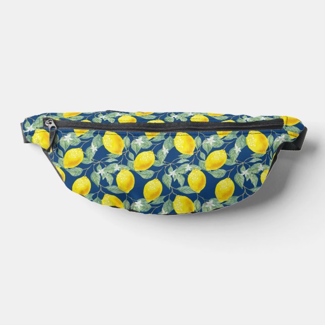 RIÑONERAS FRUTAS DE LIMÓN EN AZUL PAÍS (Distribución)