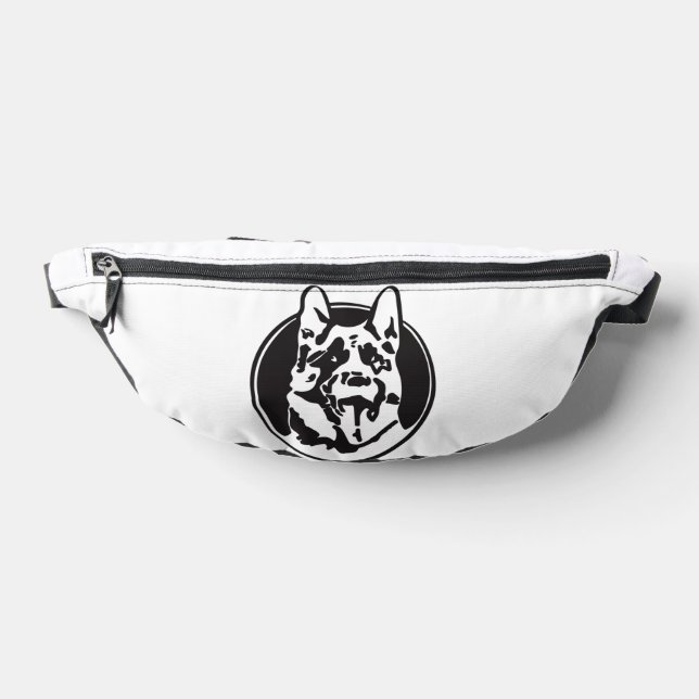 Riñoneras hakimigarthi (Distribución)