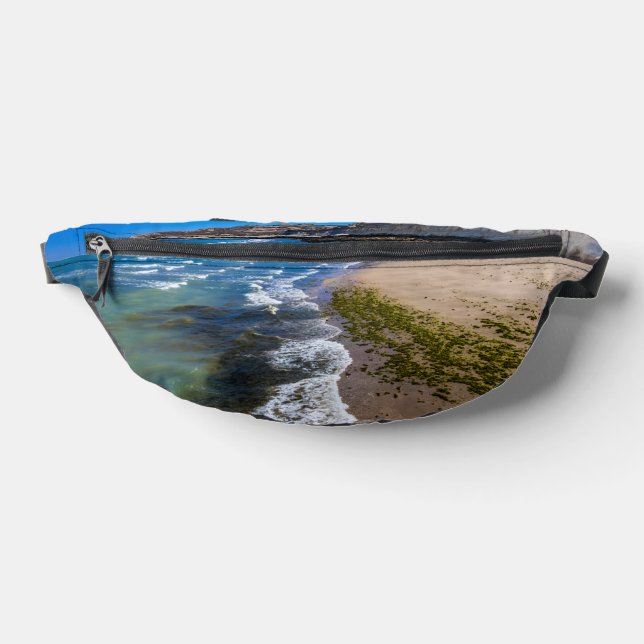 Riñoneras Playa de Puerto Piramides, Argentina (Distribución)