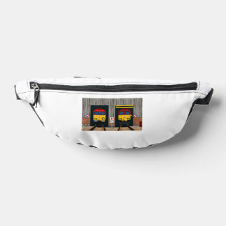 Riñoneras protector de aguja0