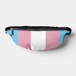 Riñoneras Visibilidad de la bandera del orgullo transgénero 