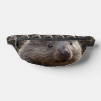 Wombat, bebé australiano marrón,