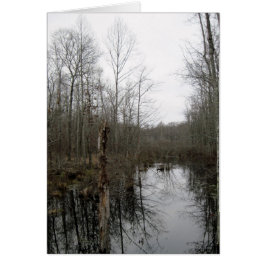 Río a través del bosque