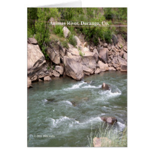 Río Animas Rapids