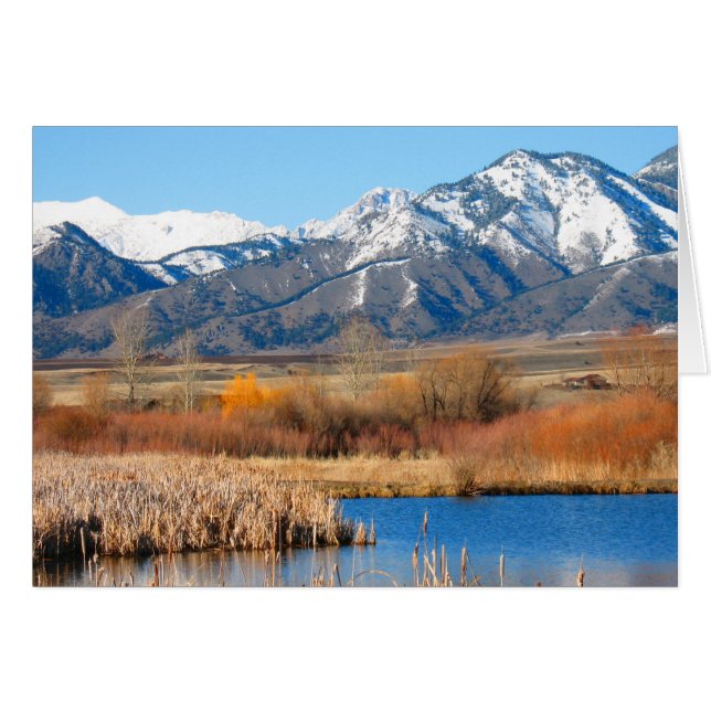 Río Cherry por Cynthia Wenslow (Anverso (Horizontal))