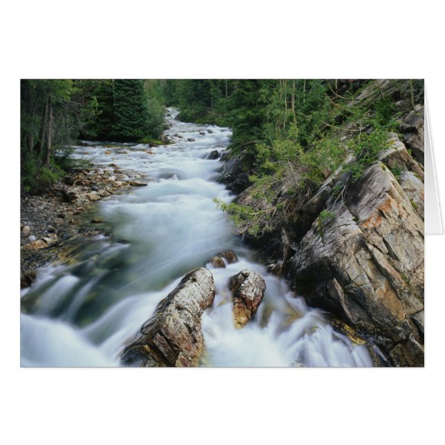 Río Crystal, Bosque Nacional Gunnison, (Anverso (Horizontal))