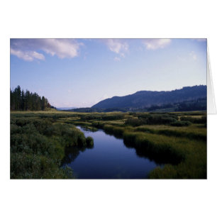 Río del búfalo, North Fork Wy.