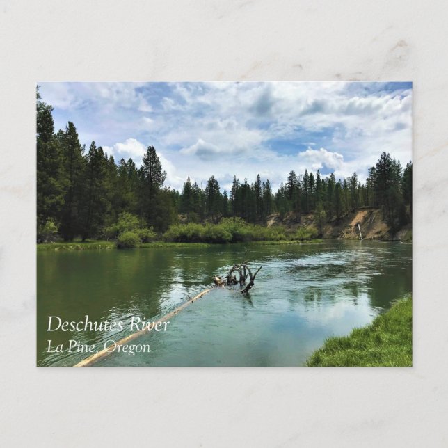 Río Deschutes, Oregon Tarjeta Postal (Anverso)