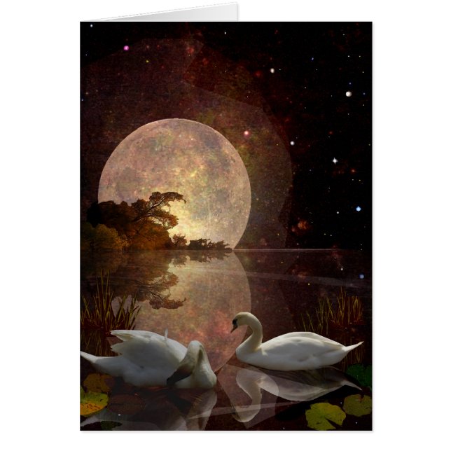 Río estrellado (Frente)