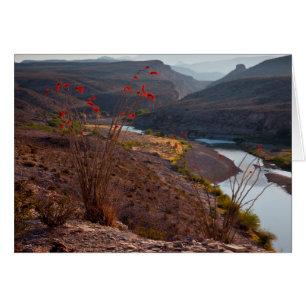 Río Grande atravesando el desierto de Chihuahuan